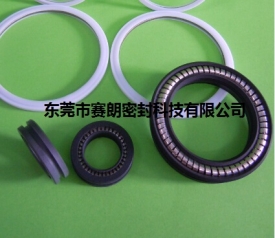 弹簧密封圈 弹簧密封圈